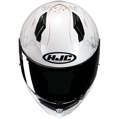 HJC C10 EPIK MC8 彩繪 全罩式安全帽 原廠訂購品