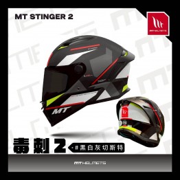 MT_STINGER2_黑白灰切斯特